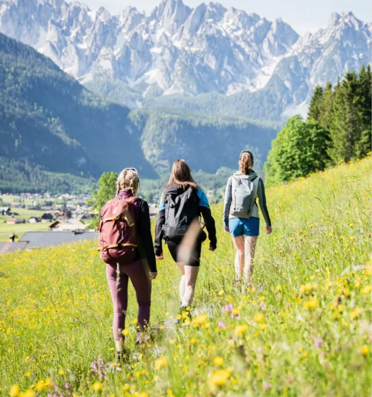 Drei Wanderinnen mit Rucksäcken auf einer blühenden Almwiese im Salzkammergut, im Hintergrund schneebedeckte Berggipfel.